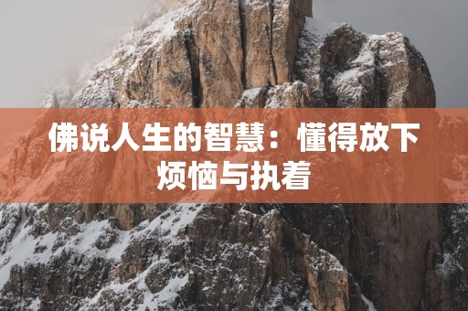 佛说人生的智慧：懂得放下烦恼与执着