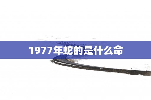 1977年蛇的是什么命
