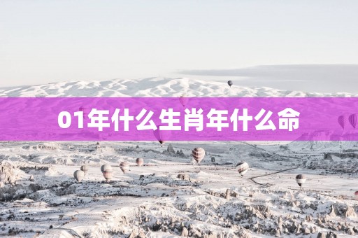 01年什么生肖年什么命