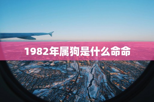 1982年属狗是什么命命