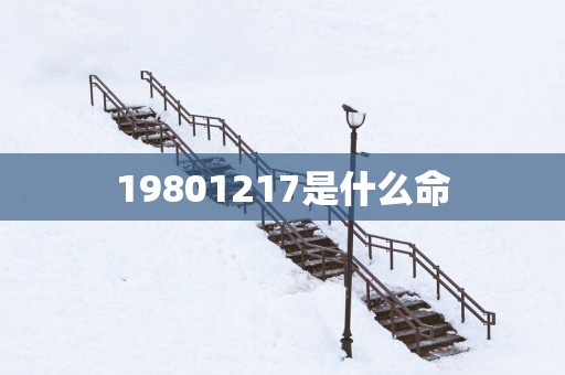 19801217是什么命
