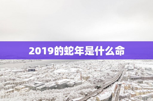 2019的蛇年是什么命