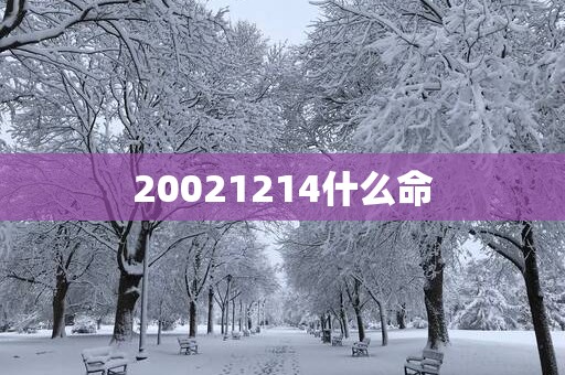 20021214什么命