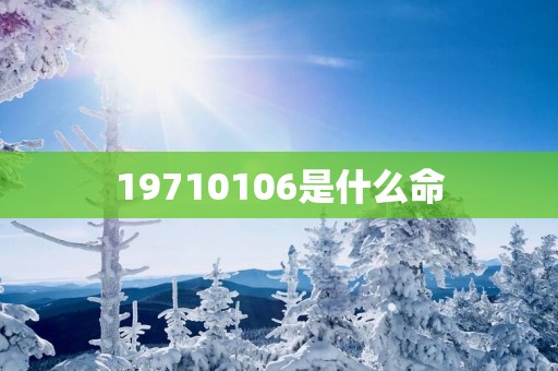 19710106是什么命