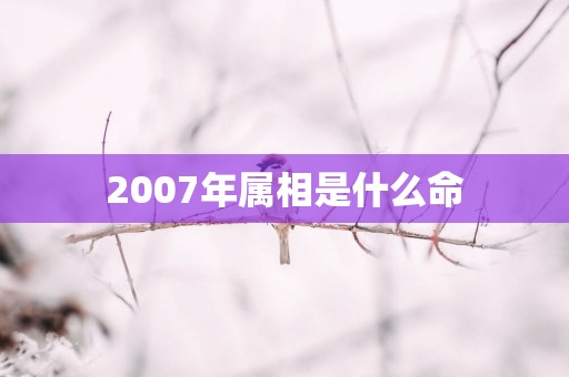 2007年属相是什么命