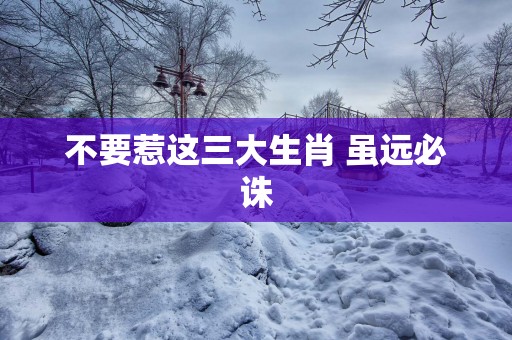 不要惹这三大生肖 虽远必诛