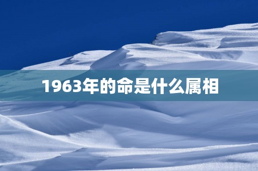 1963年的命是什么属相