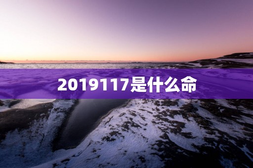 2019117是什么命