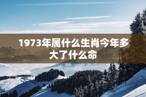 1973年属什么生肖今年多大了什么命