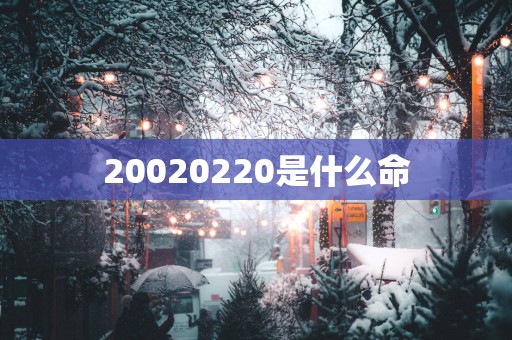 20020250是什么命
