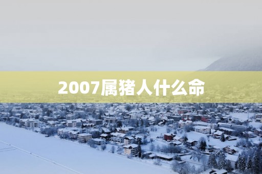2007属猪人什么命