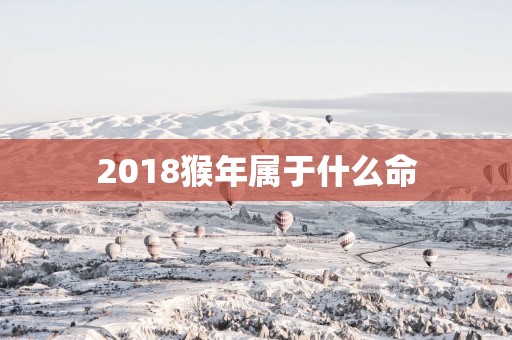 2018猴年属于什么命