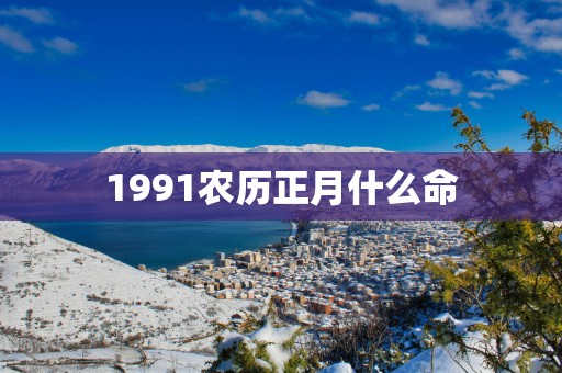 1991农历正月什么命