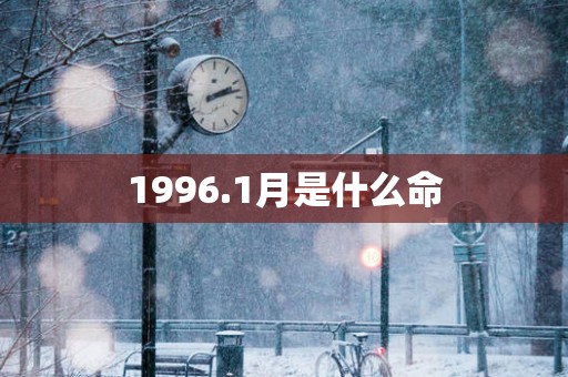 1996.1月是什么命