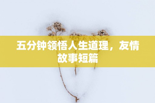 五分钟领悟人生道理，友情故事短篇