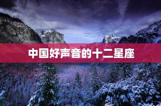 中国好声音的十二星座