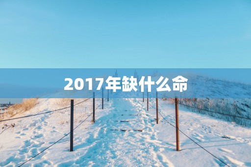 2017年缺什么命