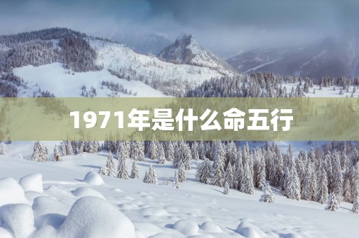 1971年是什么命五行