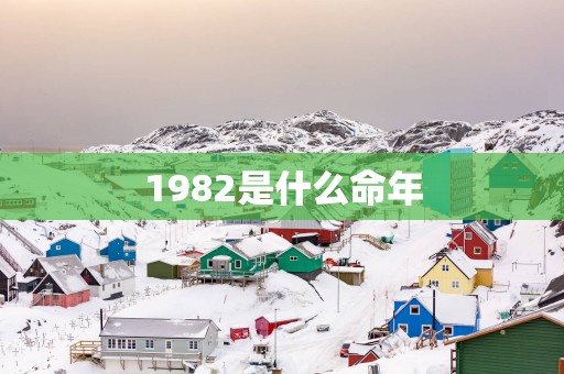 1982是什么命年