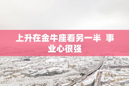 上升在金牛座看另一半  事业心很强