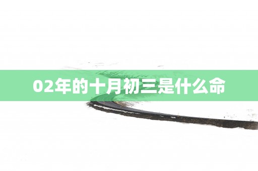 02年的十月初三是什么命