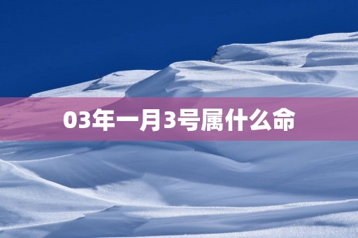 03年一月3号属什么命