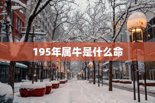195年属牛是什么命