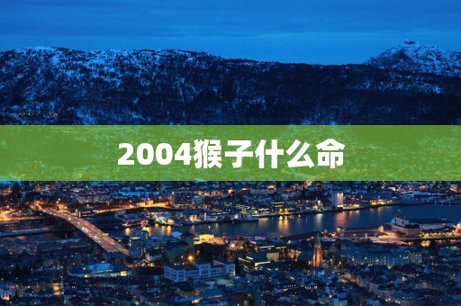2004猴子什么命