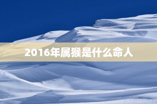 2016年属猴是什么命人