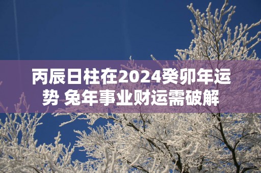 丙辰日柱在2025癸卯年运势 蛇年事业财运需破解