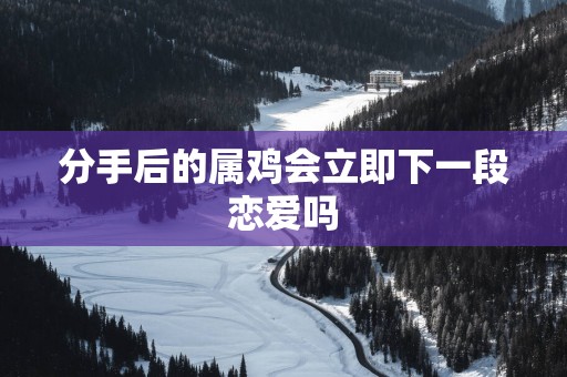 分手后的属鸡会立即下一段恋爱吗
