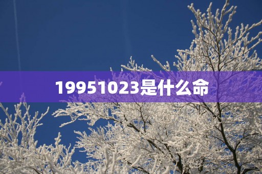 19951023是什么命