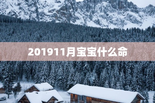201911月宝宝什么命