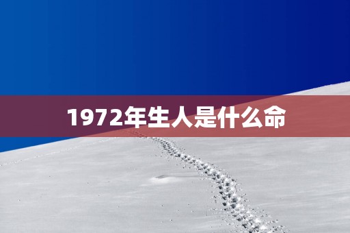 1972年生人是什么命