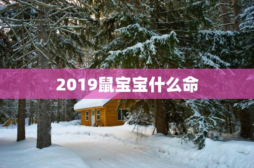 2019鼠宝宝什么命