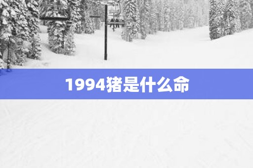 1994猪是什么命