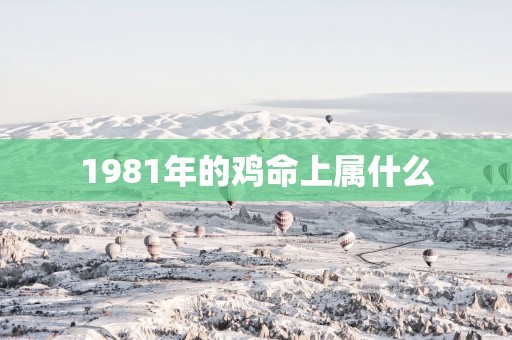 1981年的鸡命上属什么