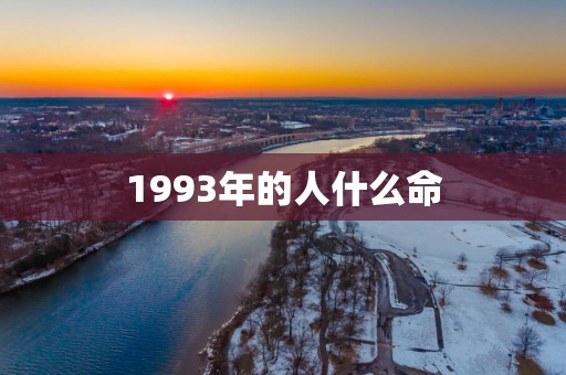 1993年的人什么命