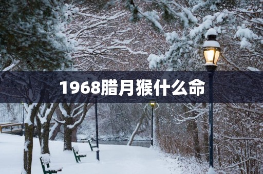1968腊月猴什么命