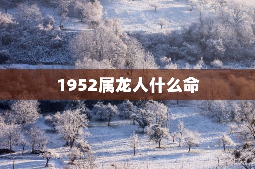 1952属龙人什么命