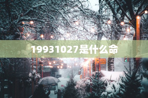 19931027是什么命