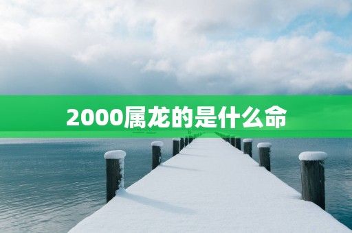2000属龙的是什么命