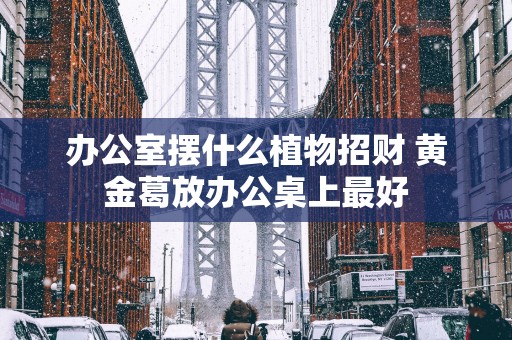 办公室摆什么植物招财 黄金葛放办公桌上最好