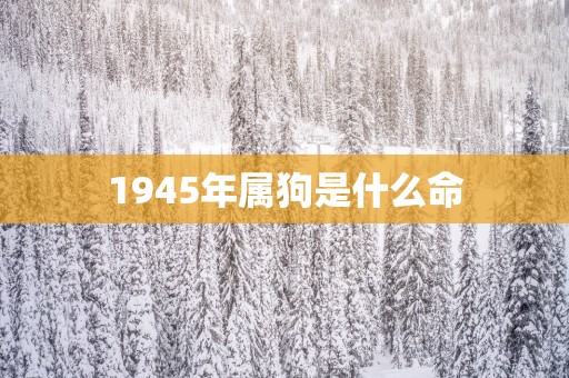 1945年属狗是什么命