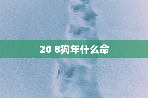 20 8狗年什么命