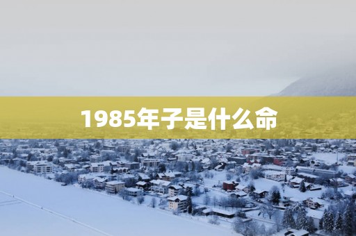 1985年子是什么命