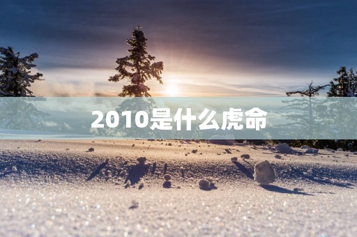 2010是什么虎命