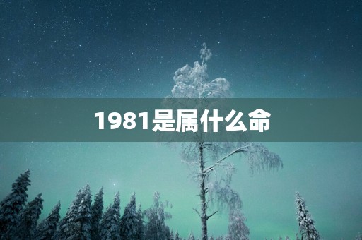 1981是属什么命