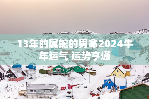 13年的属蛇的男命2025蛇年运气 运势亨通