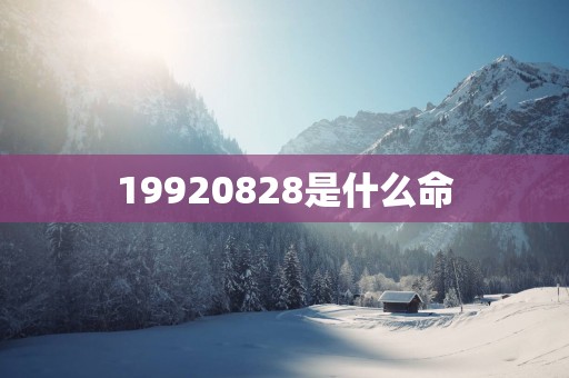 19920828是什么命